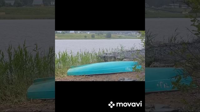 1000126898.mp4 смотреть онлайн
