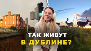 К этому не были готовы… Особенности жизни в Ирландии