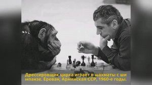 Эти фотографии СССР долгое время были скрыты от всех