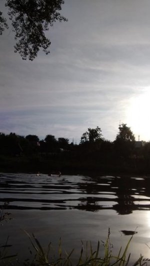 VID_20260701_195132