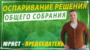 Оспаривание решения общего собрания - общие положения СНТ