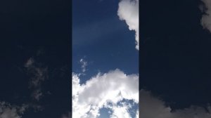 я в зоопарке Алёнушка 2 часть