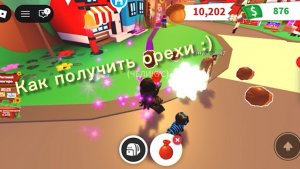 Как получить орехи в ADOPT ME