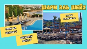 Стоит ли ехать в Eden Rock Naama Bay? Реальный обзор 3★ отеля. Пляж Калимера.