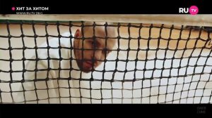 Макс Барских - Туманы (2016 г.) (Хит за хитом) (RU.TV HD)