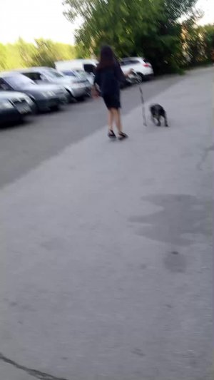 с собакой но без душнил