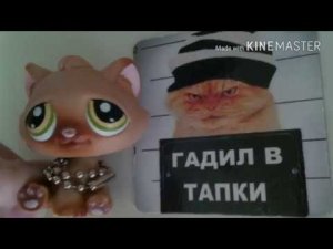 Слайд шоу  фотсесии пета Тимохи!)