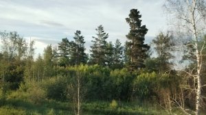 1. За окном (2)