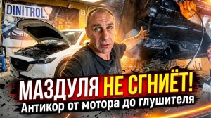 Как обработать новый автомобиль. Mazda CX-8.