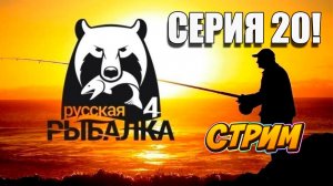 Ловим рыбу и продаем. Русская рыбалка 4! Серия 20