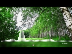 #_БИЗГА БАХОР_# БЕГОНАДИР БОРГАН САРИ_#