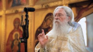 Я образую свет и творю тьму. о. Геннадий Фаст на изгнание бесов из Гадаринских бесноватых. 05.07.26