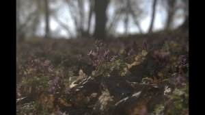 Самара,Загородный парк,Весна 2023 / Sony ZV-E10,Tamron 17-70 Sony E,Mist Art Cine 20%, 4K