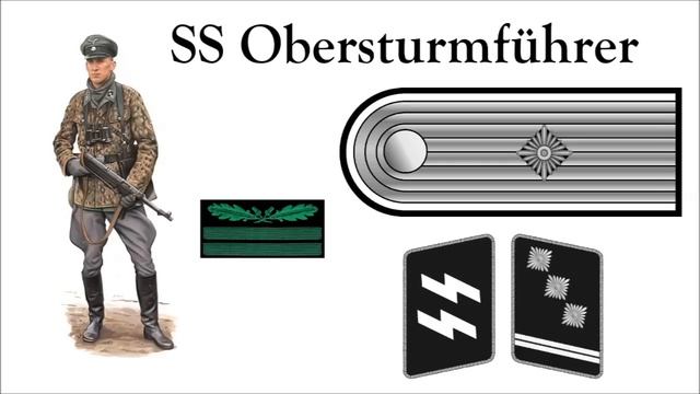 Иерархия воинских званий Общих СС и Waffen SS | Погоны и петлицы Ваффен СС во Второй мировой