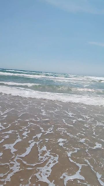 VID_20260704_142628.mp4 смотреть онлайн