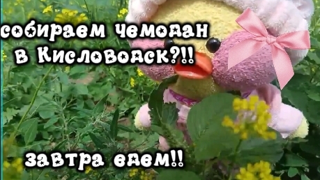 СОБИРАЕМСЯ В ПУТЕШЕСТВИЕ!!) С УТОЧКОЙ МИЛКОЙ ✨