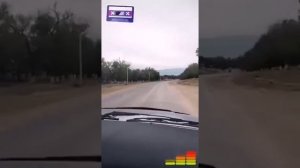 Мне хочется сказать «Спасибо» Брежневу