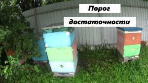 Порог достаточности в пчеловодстве.