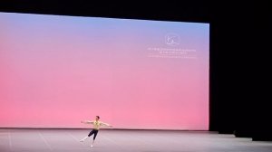 Александр Дмитриев. Фестиваль цветов в Дженцано