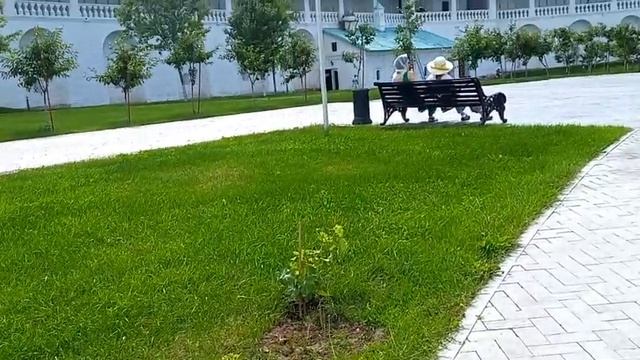 Монастырь Новый Иерусалим. 27 июня