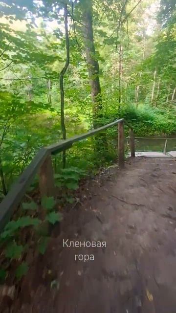 Зелёный ключ в Кленовой горе