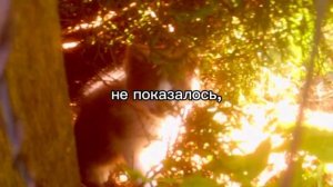 Песня «Не произошло» исполнитель: ZOLOTO