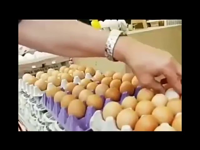 В КИТАЕ ПОДДЕЛЫВАЮТ ЯЙЦА . смотреть онлайн