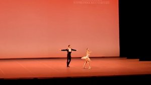 Яна Пенева и Алексей Ороховски. Дон Кихот