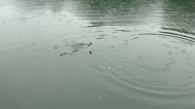 42334.mp4 смотреть онлайн