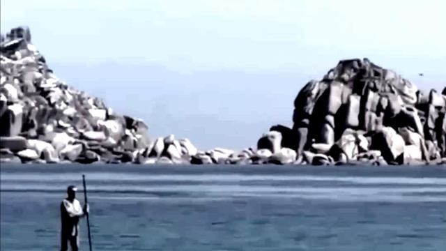 Акулы на пляже в Приморье