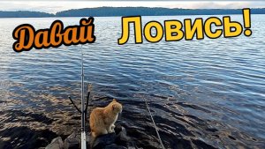 Рыбка радует поклёвками!