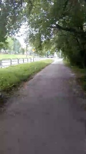 прогулка