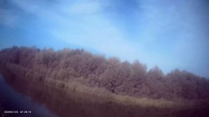 Сегодня вечерком немного порыбачил на фидер🎣 Клёв не очень, немножко половил белую рыбу на опарыша.
