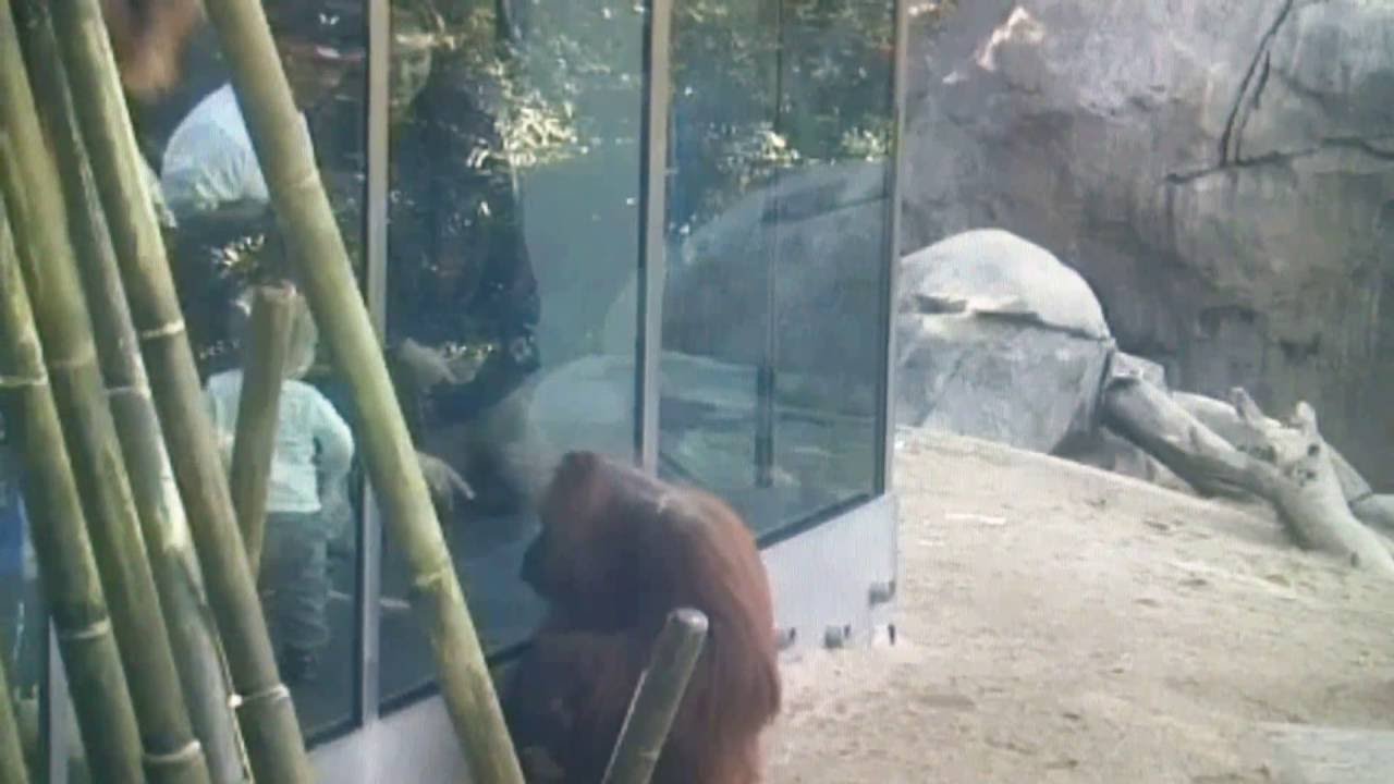 Бабушка ДЖАНЕЙ (13.01.2015) смотреть онлайн