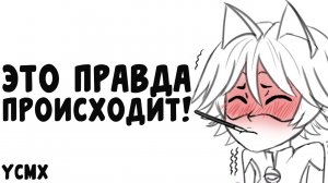 Комикс Леди Баг и Супер Кот | ЭТО ПРАВДА ПРОИСХОДИТ!?