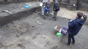 Наземное жилище на раскопе по улице Ленинградская, 64