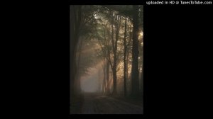 валентин стрыкало - бесполезно ( sped up )