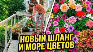 НОВЫЙ ШЛАНГ В РАБОТЕ / БУКЕТ ИЗ РОЗ / СКОЛЬКО НАВЕЗЛИ ЦВЕТОВ