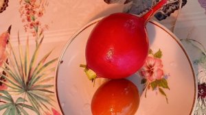 2548. Рассадный 26. Черриэт,чудо редис.