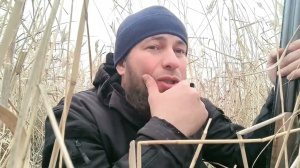 Охота на водоплавающих: Добыл белолобого гуся .