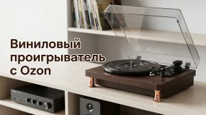 Китайский проигрыватель для виниловых пластинок MDY-1305-1 с Ozon