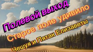 Полевой выход. Старое поле удивило! Чешуя и Пятак Елизаветы!!