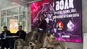 Охота на волка с вабой!