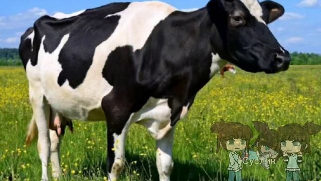 А что вы хотели?Я после отдыха кст эта песня номер 22 смотреть онлайн