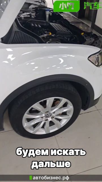 Volkswagen T-Roc из Китая - разоблачение скрученного пробега