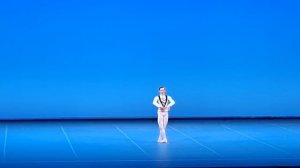 Данил Зиновьев.  Лебединое озеро