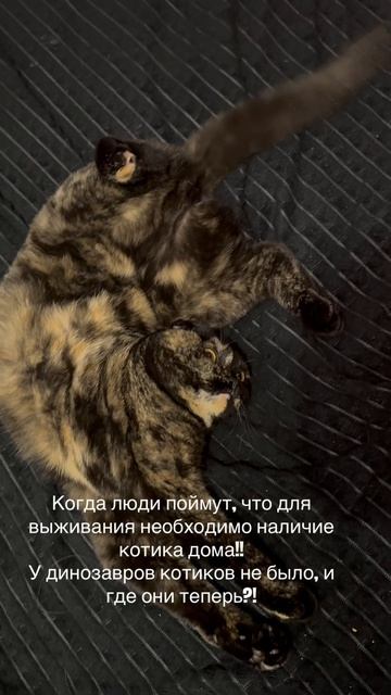 Все так и было