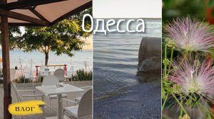 (Елена. Живу в Одессе :))Одесса / катастрофа с морем продолжается?🤔 / пляж закрыт?