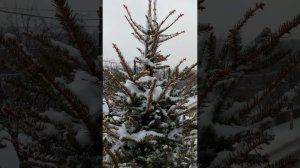 моя крепость-это то,что под моей одеждой