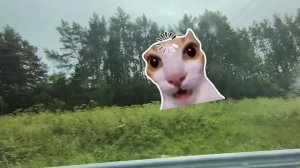 гусик на речке + красота !!👍 😂😂🎉🎉🤣🤣😁😁🪿🪿🤗